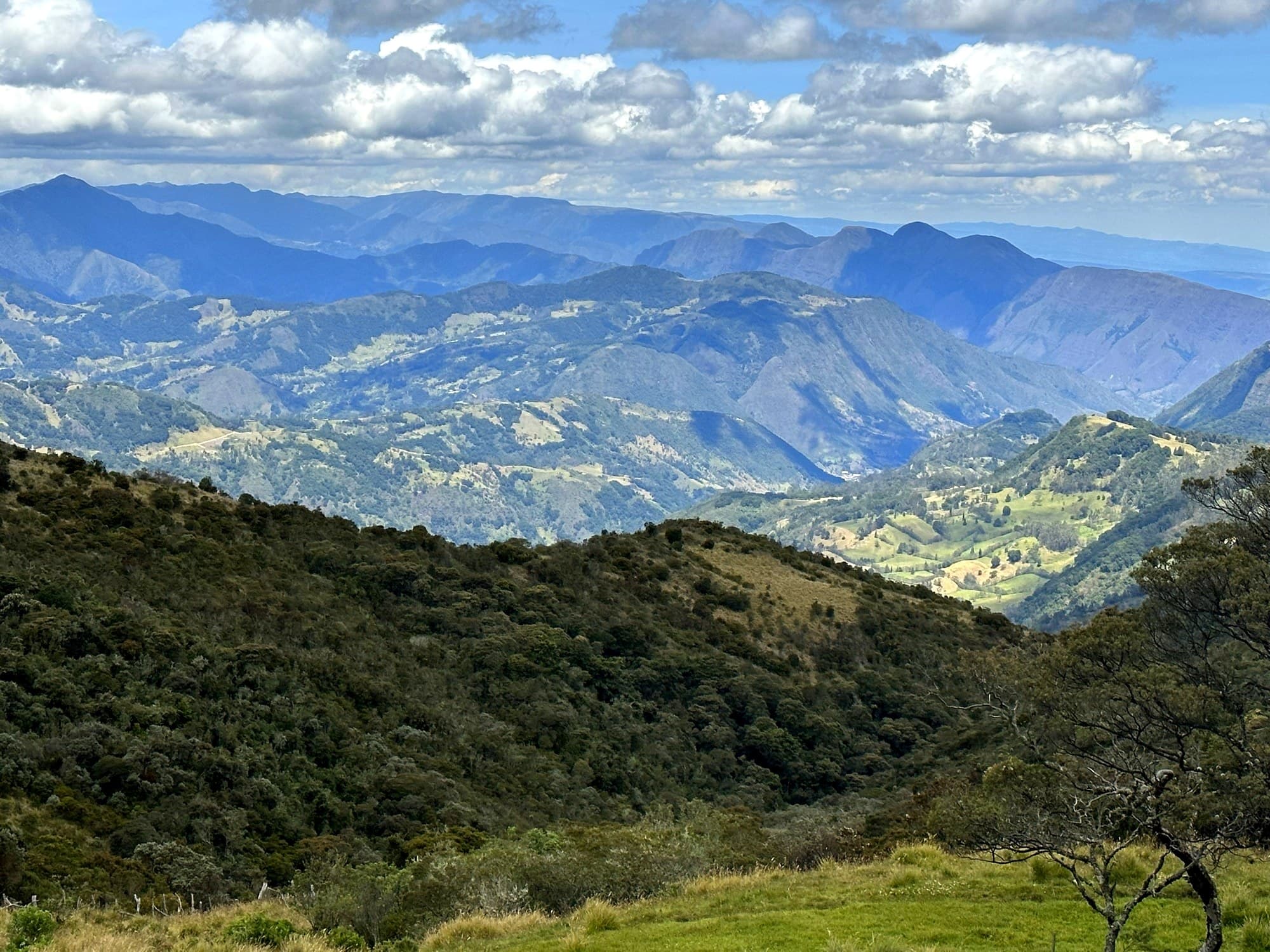 Cordillera andina